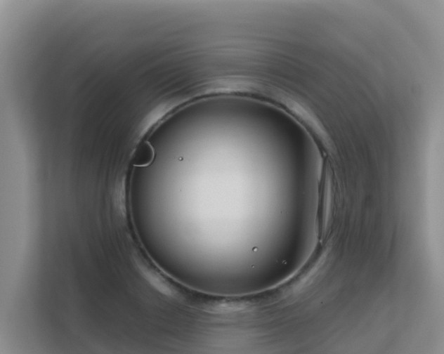 X0000111670842200907241210