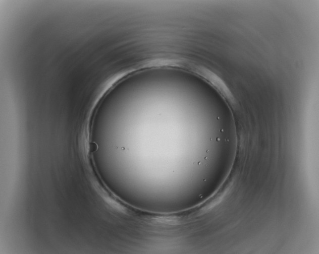 X0000111670844200907241210