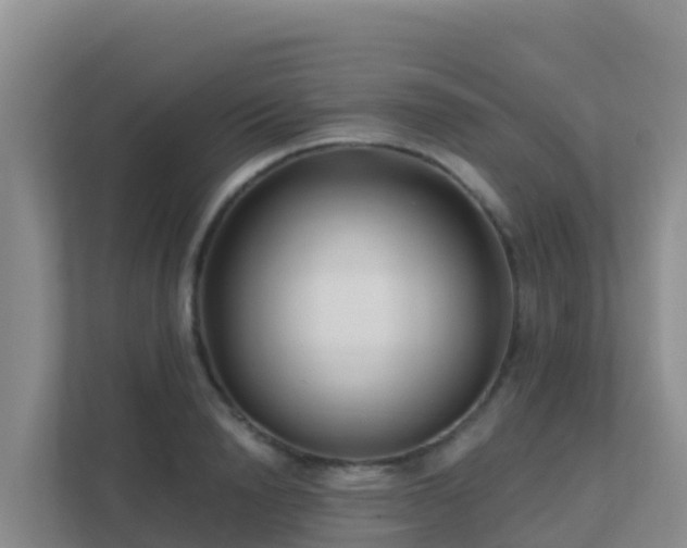 X0000111670846200907241210