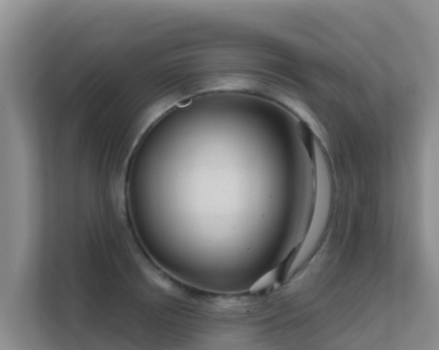 X0000111670850200907241211