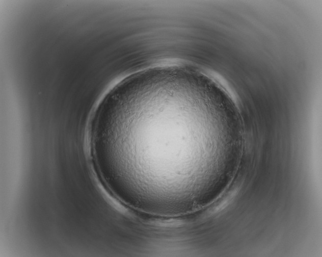 X0000111670851200907241211