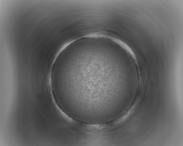 X0000111670855200907241211