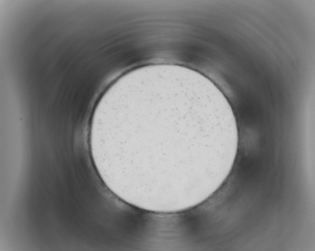 X0000111670856200907241211