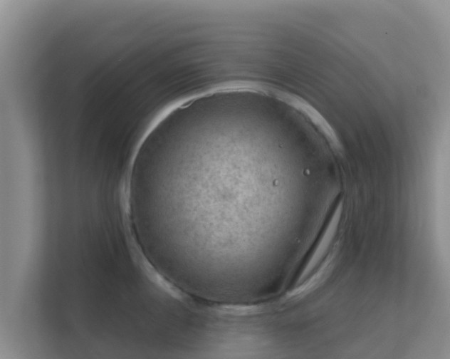 X0000111670860200907241211