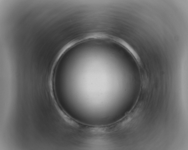 X0000111670861200907241211