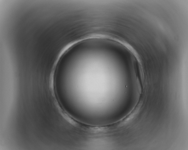 X0000111670862200907241211