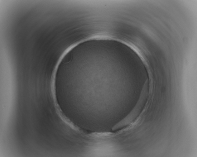 X0000111670864200907241211