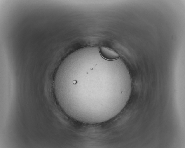 X0000111670865200907241210