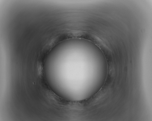 X0000111670866200907241210