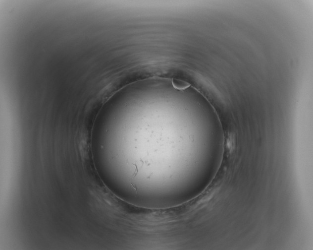 X0000111670867200907241210