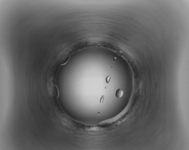 X0000111670868200907241210