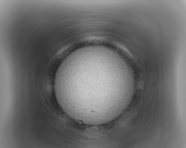 X0000111670869200907241210