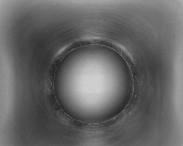 X0000111670871200907241210