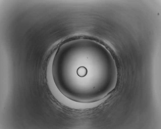 X0000111670872200907241210