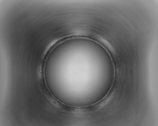 X0000111670875200907241210