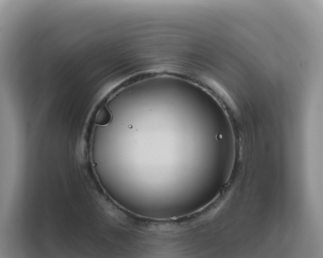 X0000111670876200907241210