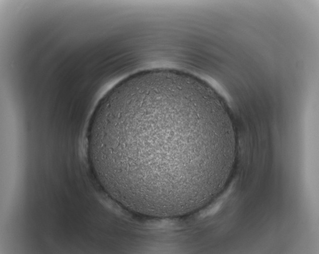 X0000111670879200907241210