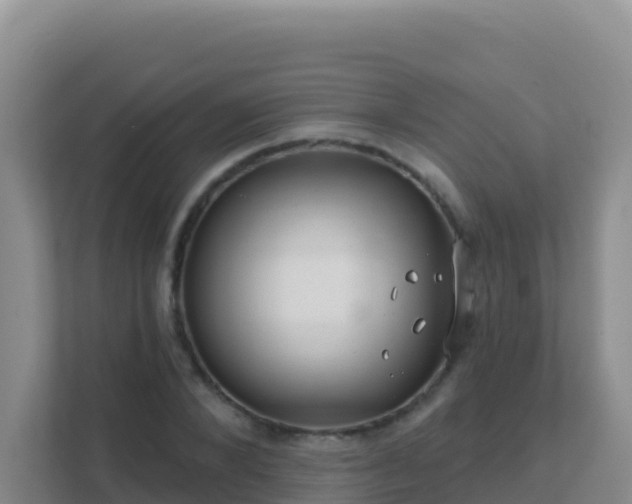 X0000111670880200907241210