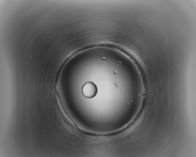 X0000111670881200907241210