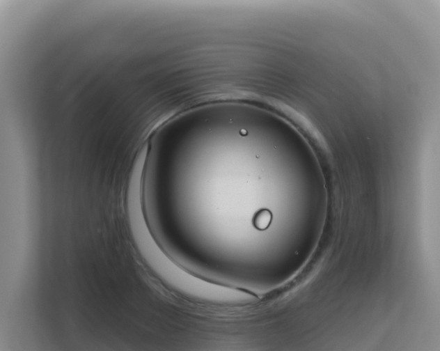 X0000111670889200907241210