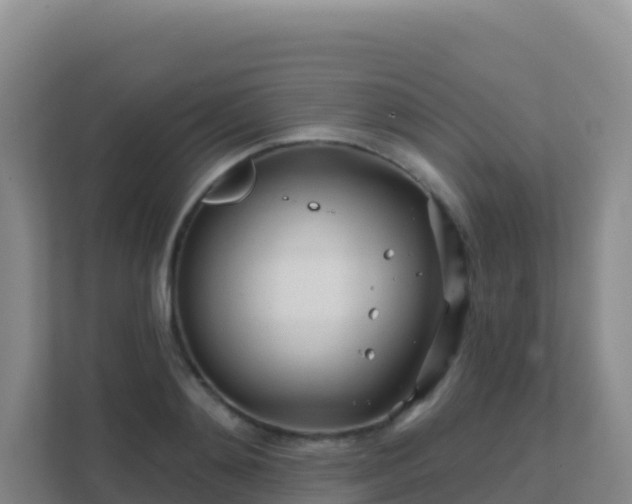 X0000111670892200907241210