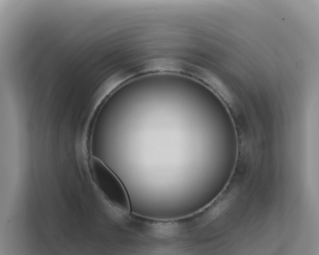 X0000111670893200907241210