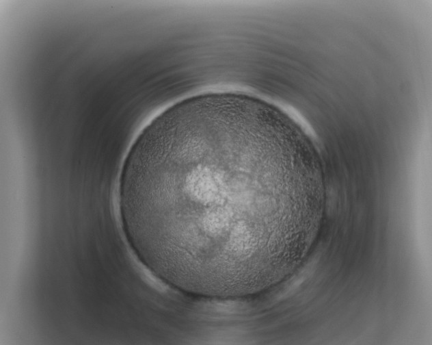 X0000111670895200907241210