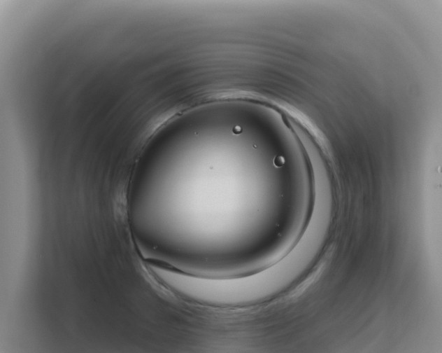 X0000111670897200907241210