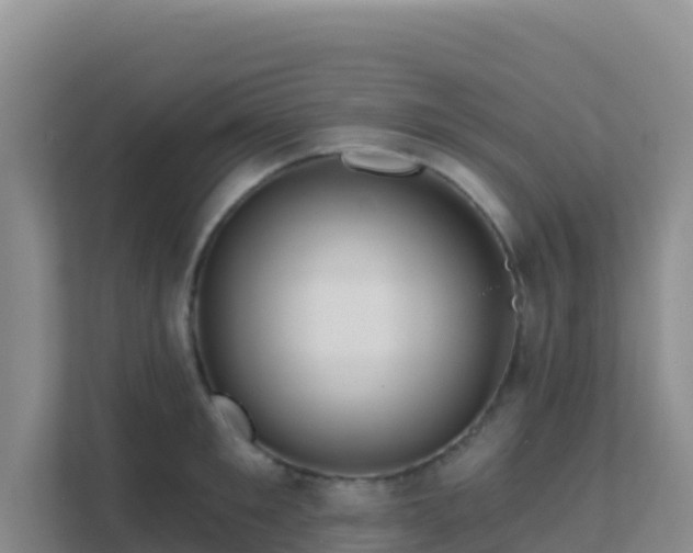 X0000111670901200907241210