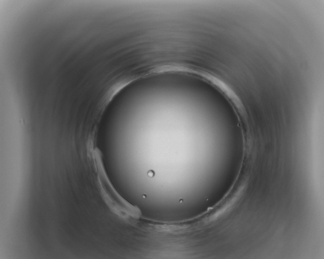 X0000111670905200907241210