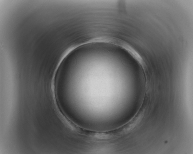 X0000111670907200907241210