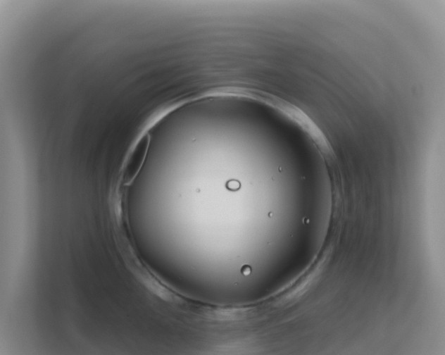 X0000111670908200907241210