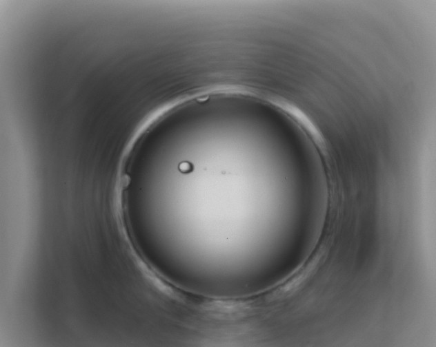 X0000111670910200907241210