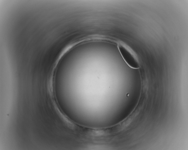 X0000111670911200907241209