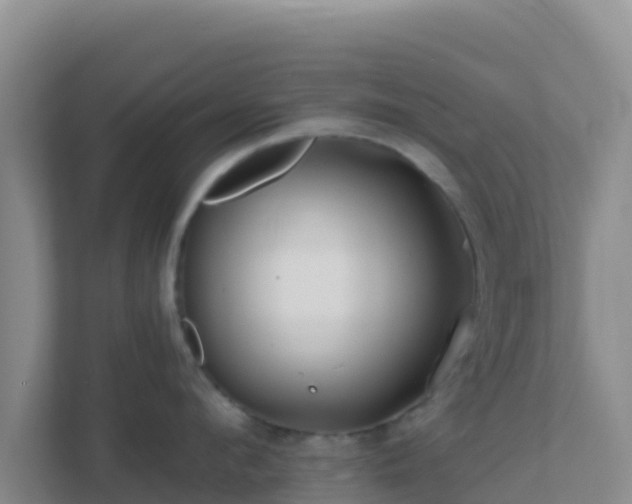 X0000111670912200907241209