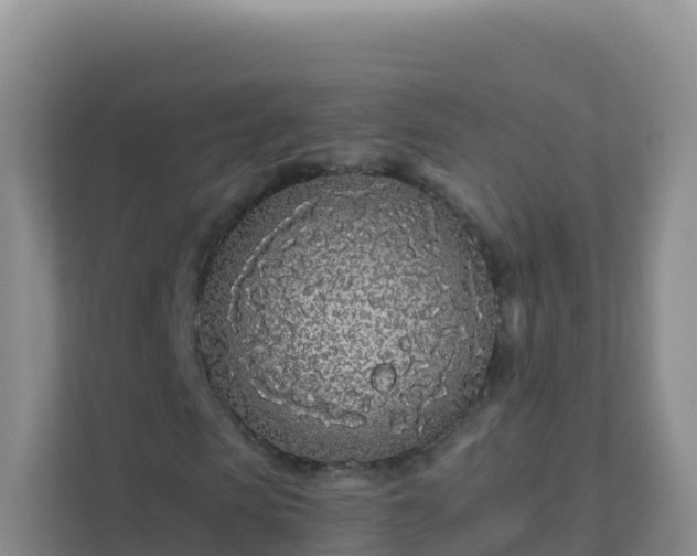 X0000111670913200907241209