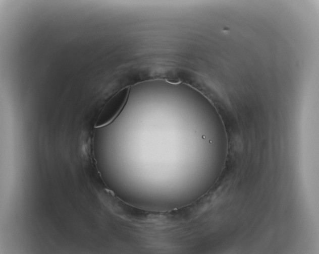 X0000111670914200907241209