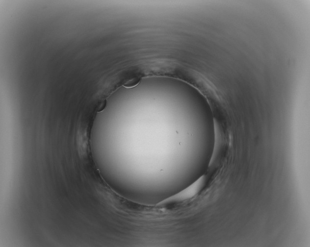 X0000111670915200907241209