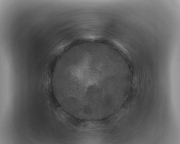 X0000111670917200907241209