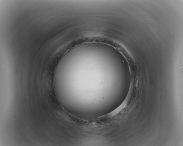 X0000111670919200907241209