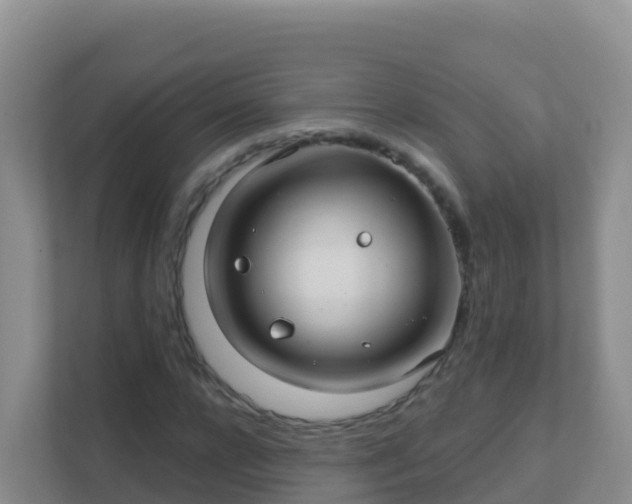 X0000111670920200907241209