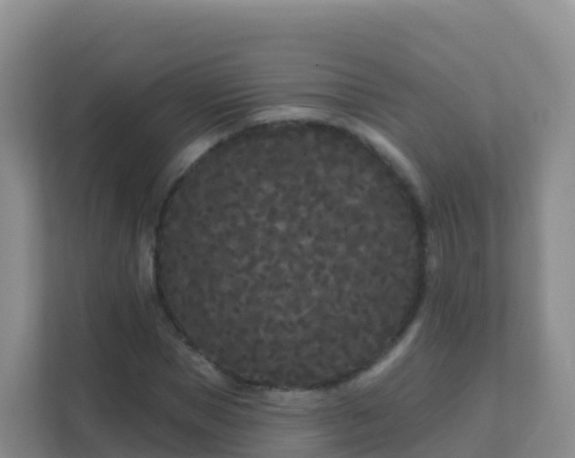 X0000111670921200907241209