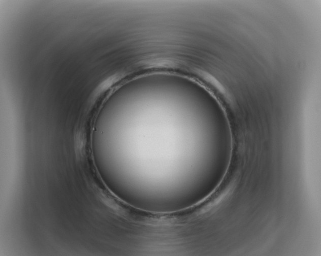 X0000111670922200907241209