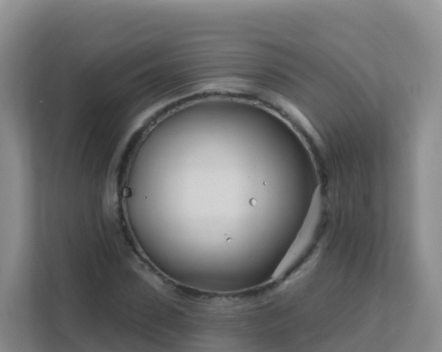 X0000111670923200907241209