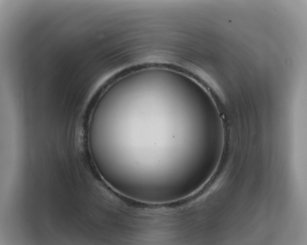 X0000111670926200907241209