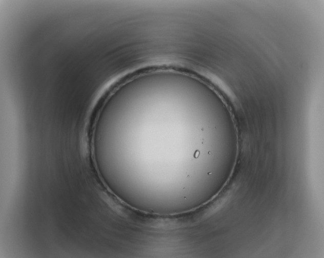 X0000111670927200907241209