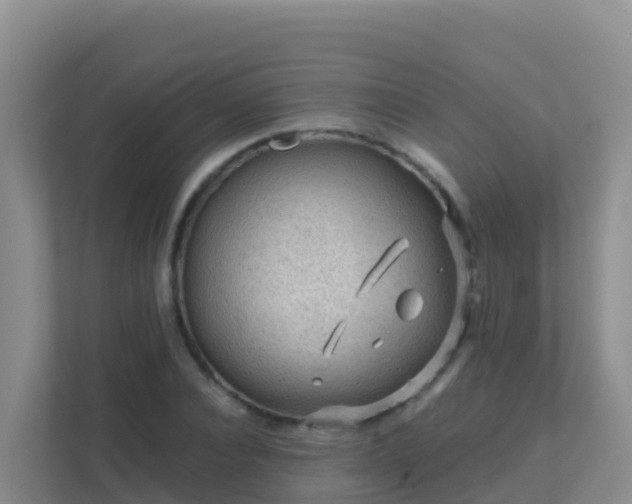 X0000111670928200907241209