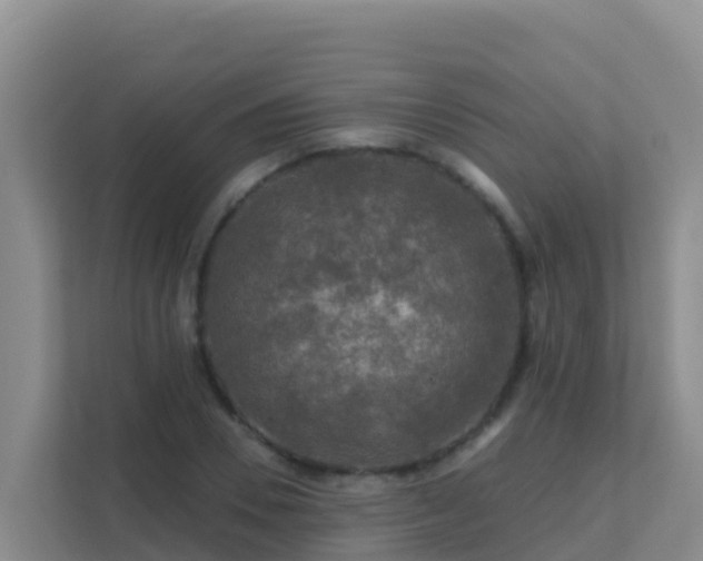 X0000111670930200907241209