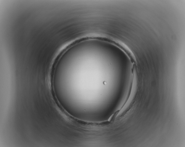 X0000111670935200907241209