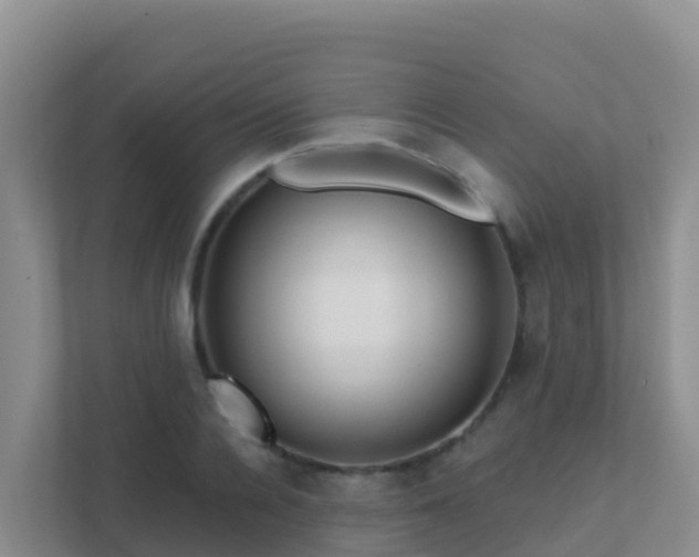 X0000111670936200907241209